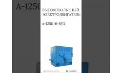 ВЫСОКОВОЛЬТНЫЙ ЭЛЕКТРОДВИГАТЕЛЬ А-1250-6-6УЗ