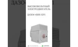 ВЫСОКОВОЛЬТНЫЙ ЭЛЕКТРОДВИГАТЕЛЬ ДАЗО4-450X-12У1