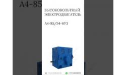 ВЫСОКОВОЛЬТНЫЙ ЭЛЕКТРОДВИГАТЕЛЬ А4-85/54-6УЗ